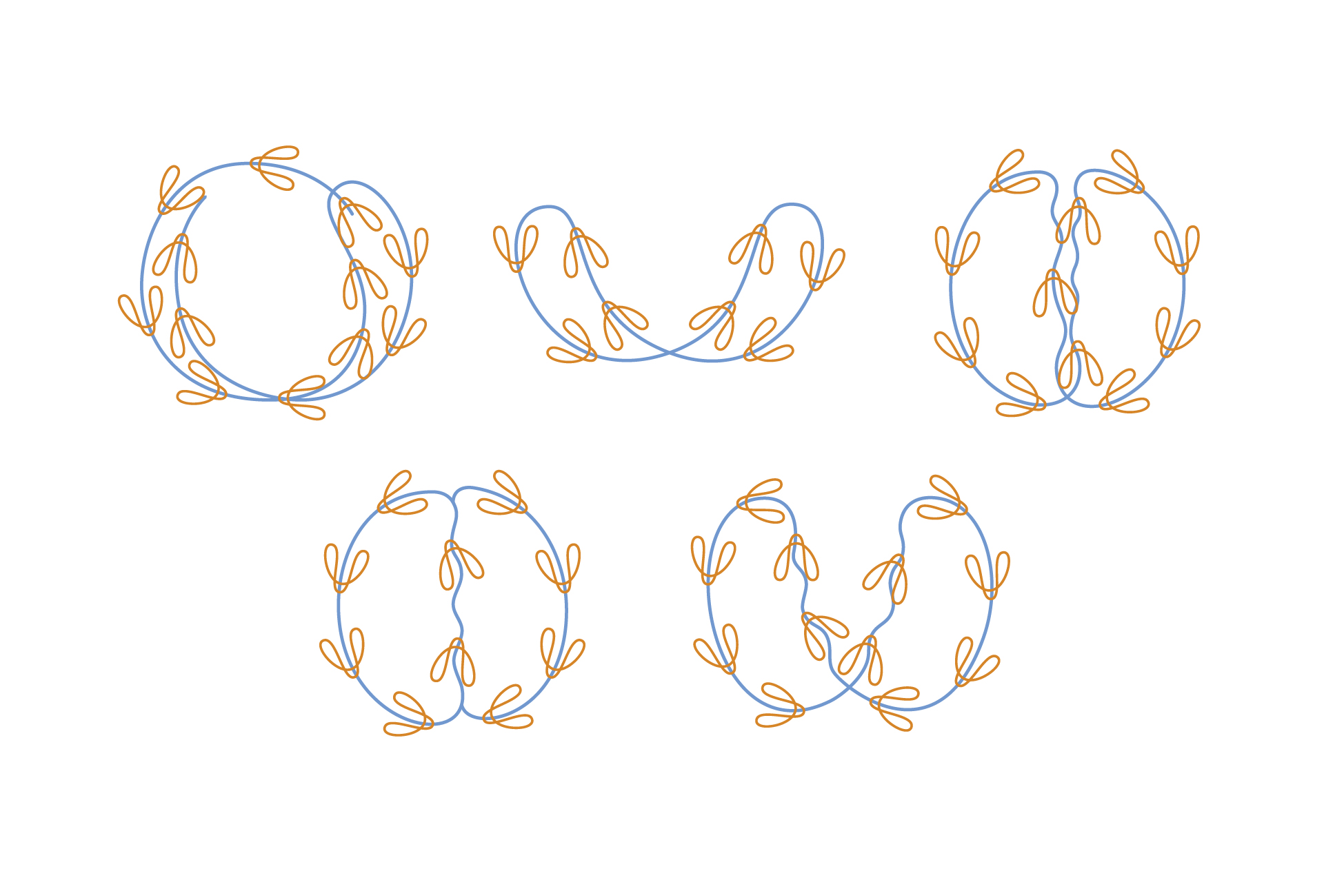 ED.VITA Inspiration logo featuring line illustrations of bees performing the waggle dance, serving as creative inspiration for the typographic design and highlighting sustainability and design award themes.